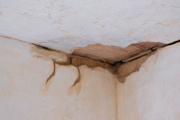 Best Fire Damage Restoration  in Wood Dale, IL