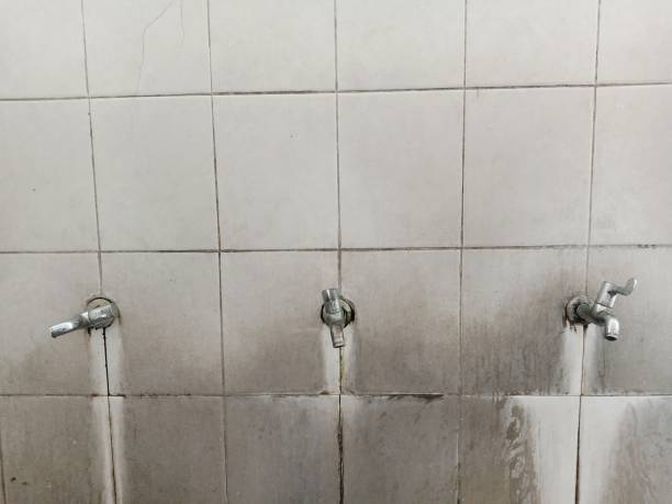 Best Water damage restoration near me  in Wood Dale, IL