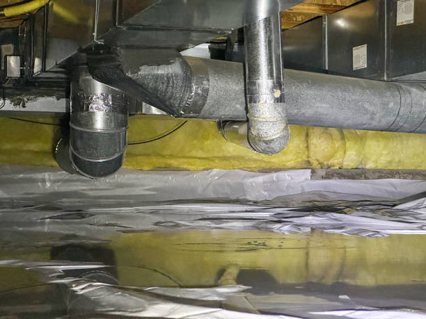 Best Flooded house restoration  in Wood Dale, IL