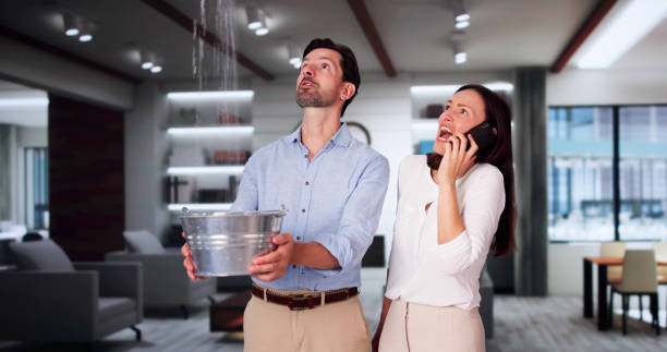 Best Water damage restoration insurance claims  in Wood Dale, IL