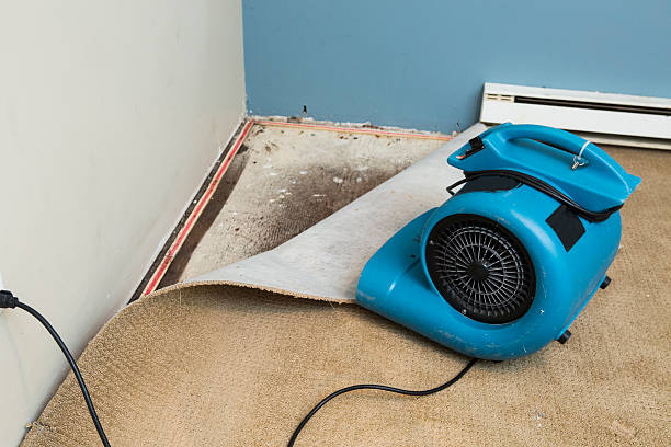 Water damage restoration insurance claims in Wood Dale, IL